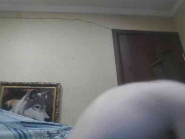 Arcalesta Sex Cam Show