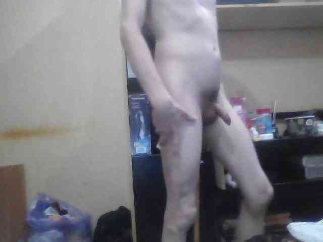 Arcalesta