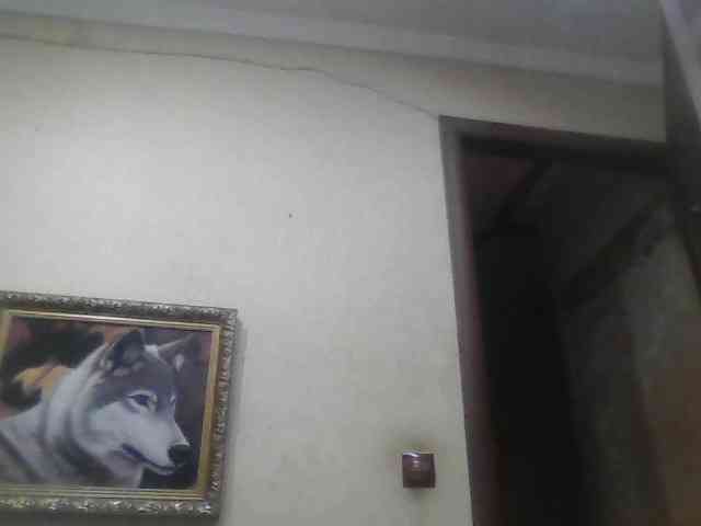 Arcalesta Sex Cam Show