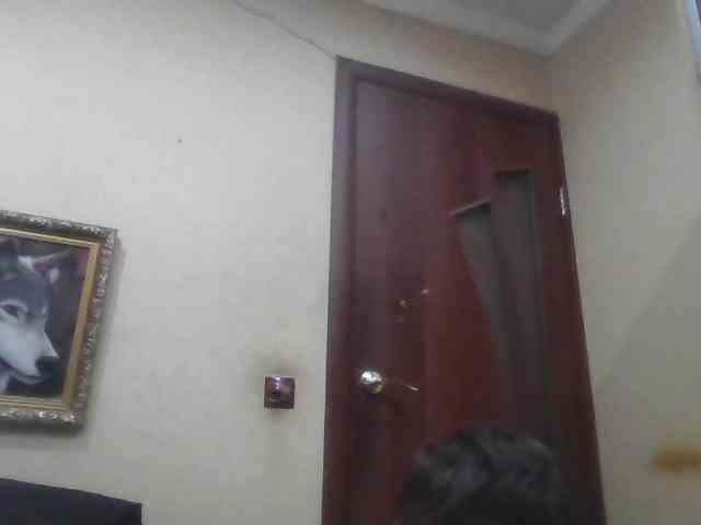 Arcalesta