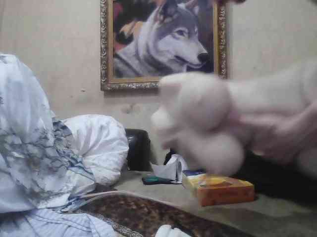 Arcalesta