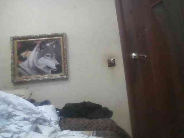 Arcalesta