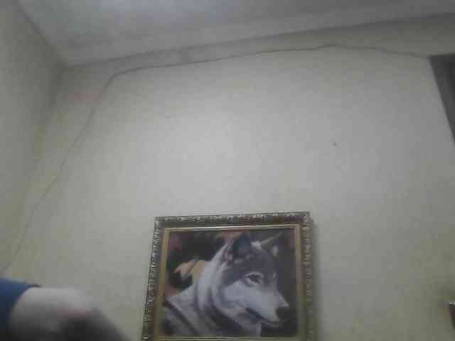 Arcalesta