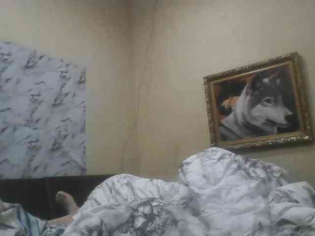 Arcalesta