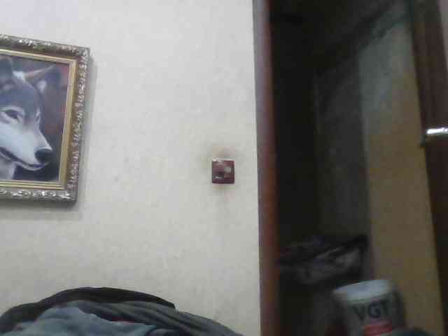 Arcalesta Sex Cam Show