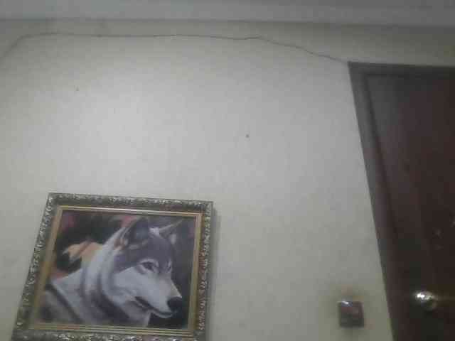 Arcalesta