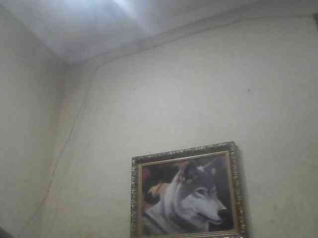 Arcalesta