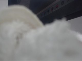 Lamalona77's Live Webcam