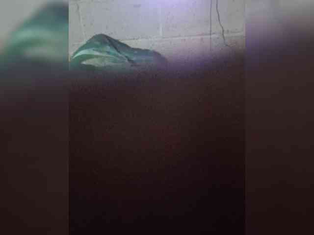 angelswhore webcam