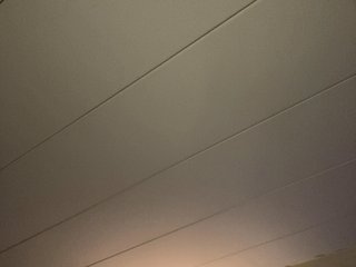 Brujaxgrey Porn Show