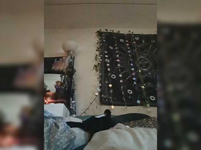 Brujaxgrey live cam on BongaCams