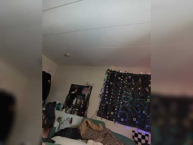 Brujaxgrey live cam on BongaCams