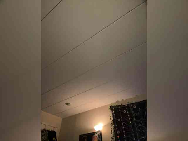 Brujaxgrey webcam