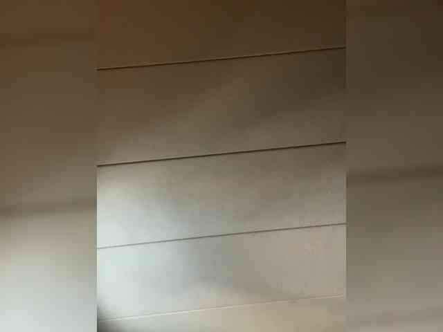 Brujaxgrey webcam