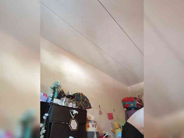 Brujaxgrey webcam