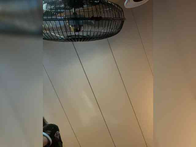 Brujaxgrey webcam