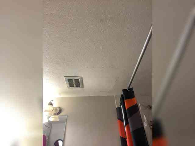 Brujaxgrey webcam
