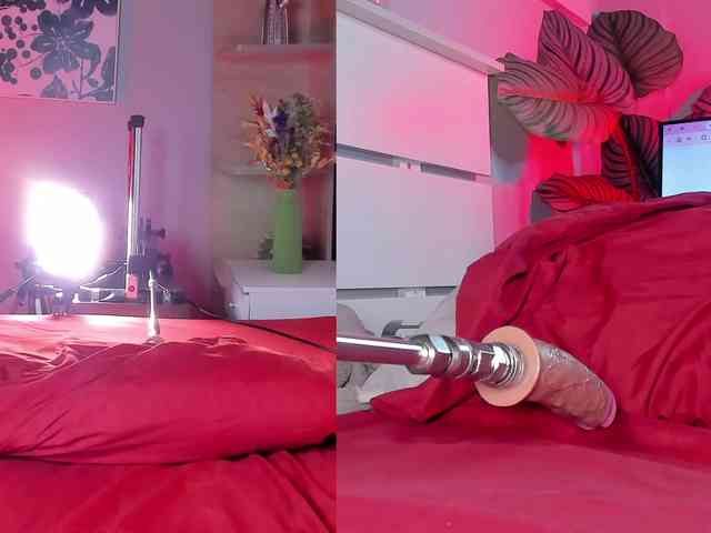REDDOLLL webcam