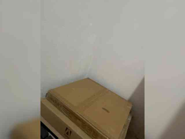 Vfvf30031