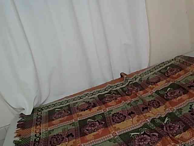 Taliah webcam