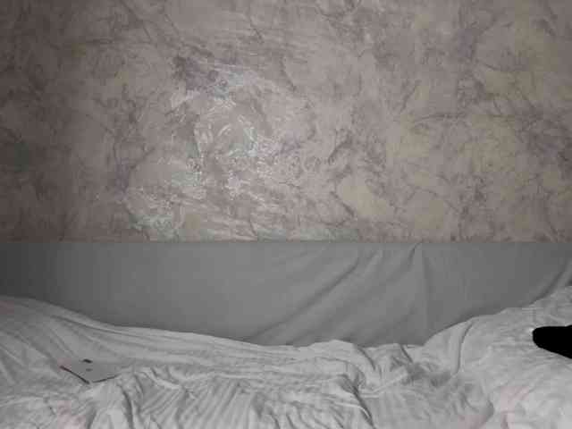 VeraSweet webcam