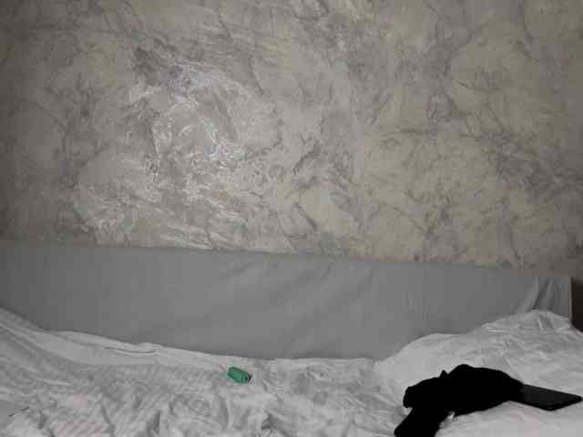 VeraSweet webcam