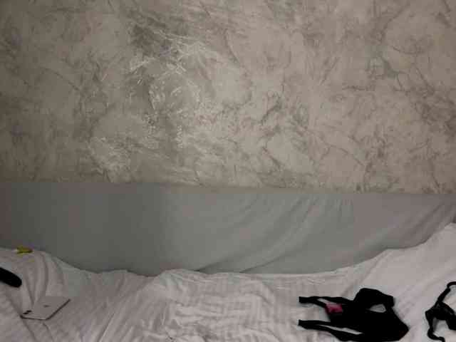 VeraSweet webcam