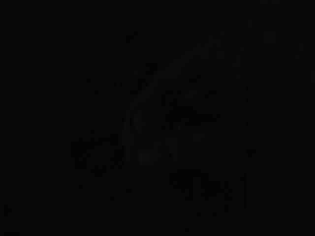 Ggwp652364 Sex Cam Show