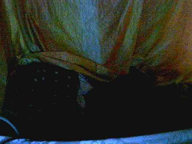 Coquinelara webcam
