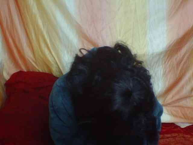 Coquinelara webcam