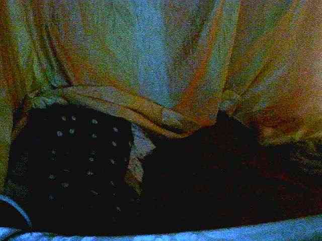 Coquinelara webcam