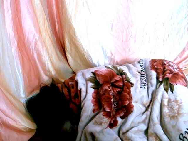 Coquinelara webcam