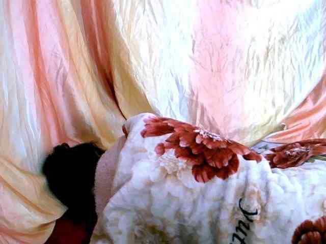 Coquinelara webcam