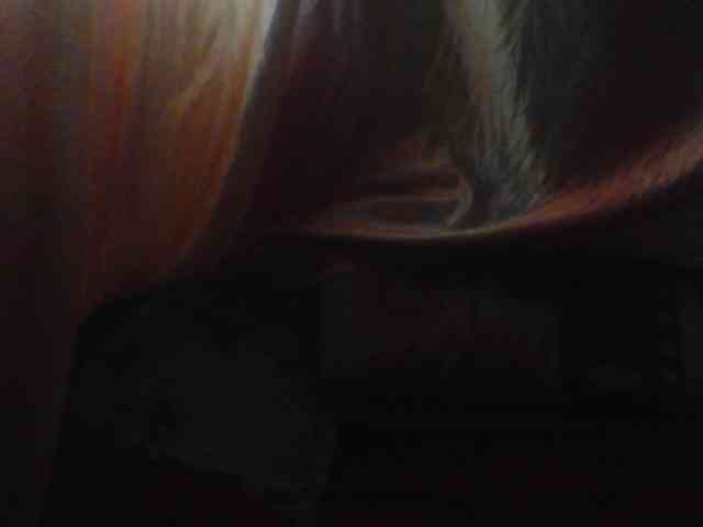 Coquinelara webcam