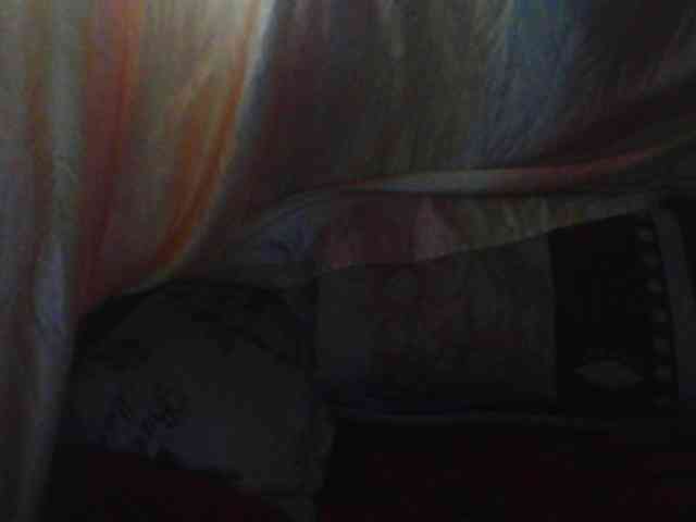 Coquinelara webcam