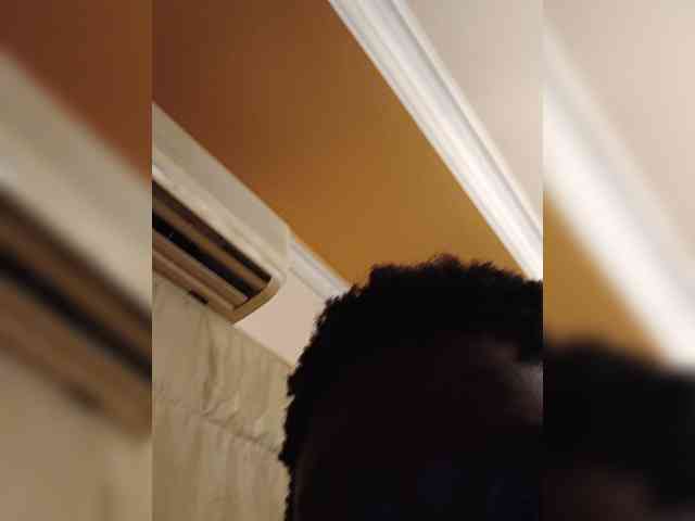 Nevine1987 webcam