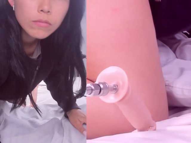 Videl-Sweett live cam on BongaCams