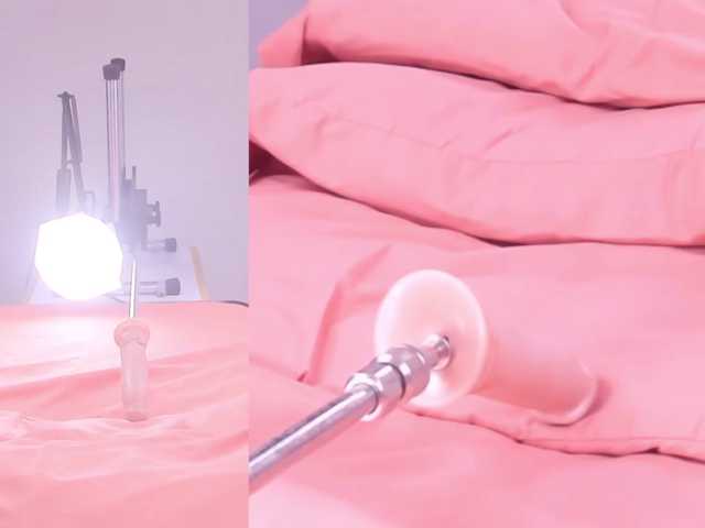 Videl-Sweett live cam on BongaCams