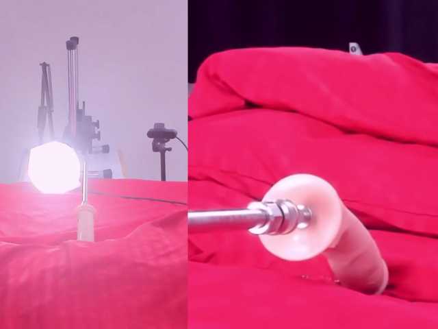 Videl-Sweett live cam on BongaCams