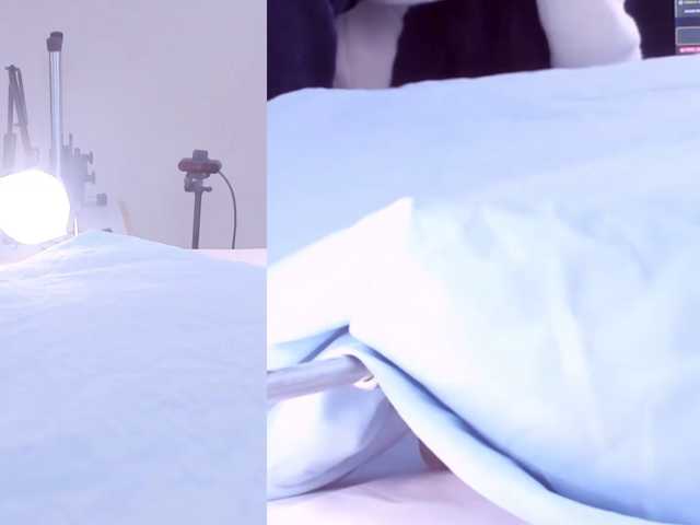 Videl-Sweett live cam on BongaCams