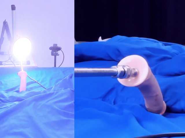 Videl-Sweett live cam on BongaCams