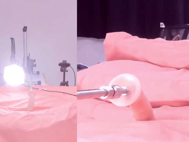 Videl-Sweett live cam on BongaCams