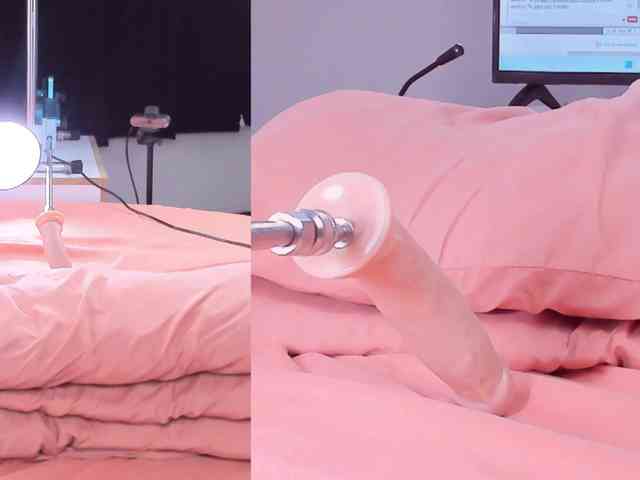 Videl-Sweett webcam