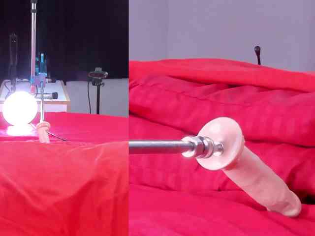 Videl-Sweett webcam