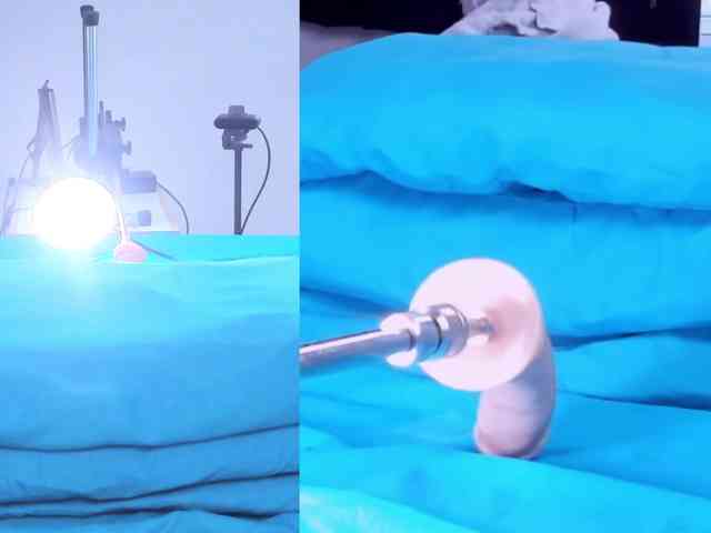 Videl-Sweett webcam
