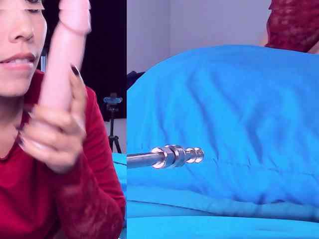 Videl-Sweett webcam