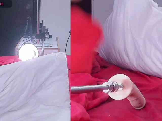 Videl-Sweett webcam