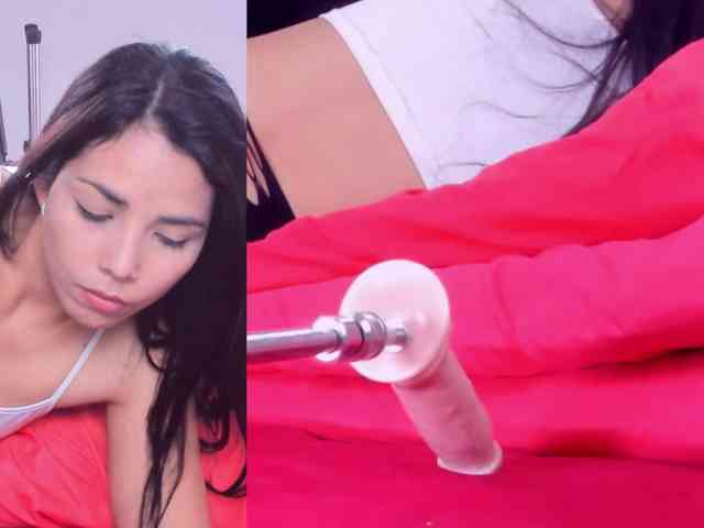Videl-Sweett