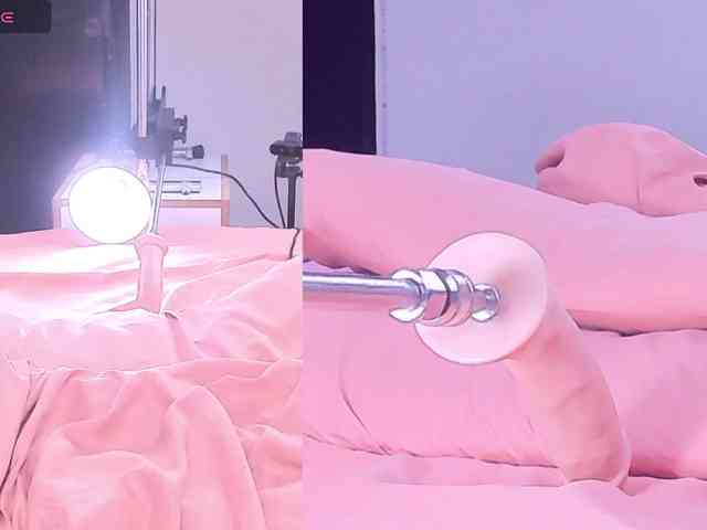 Videl-Sweett webcam