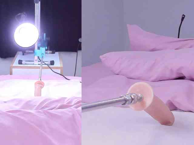 Videl-Sweett webcam